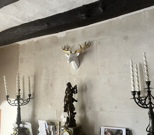 tête de cerf décorative située au dessus d'une cheminée, sur un mur en pierre. Ambiance rustique.